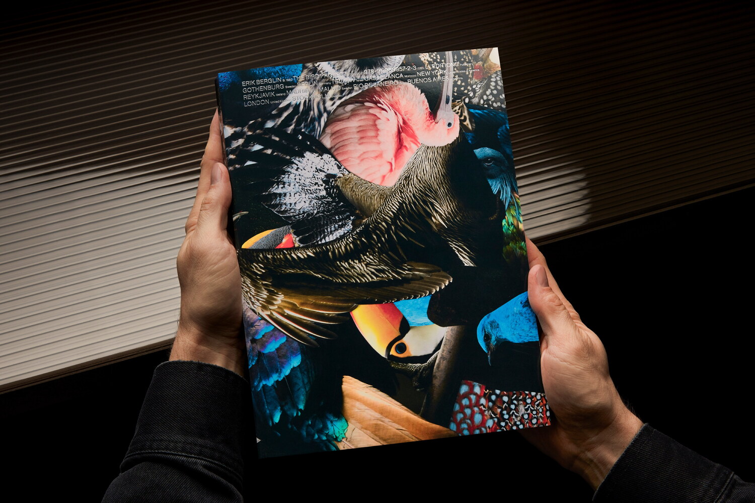 Lundgren+Lindqvist - The Bird Project 2006-2017 by Erik Berglin