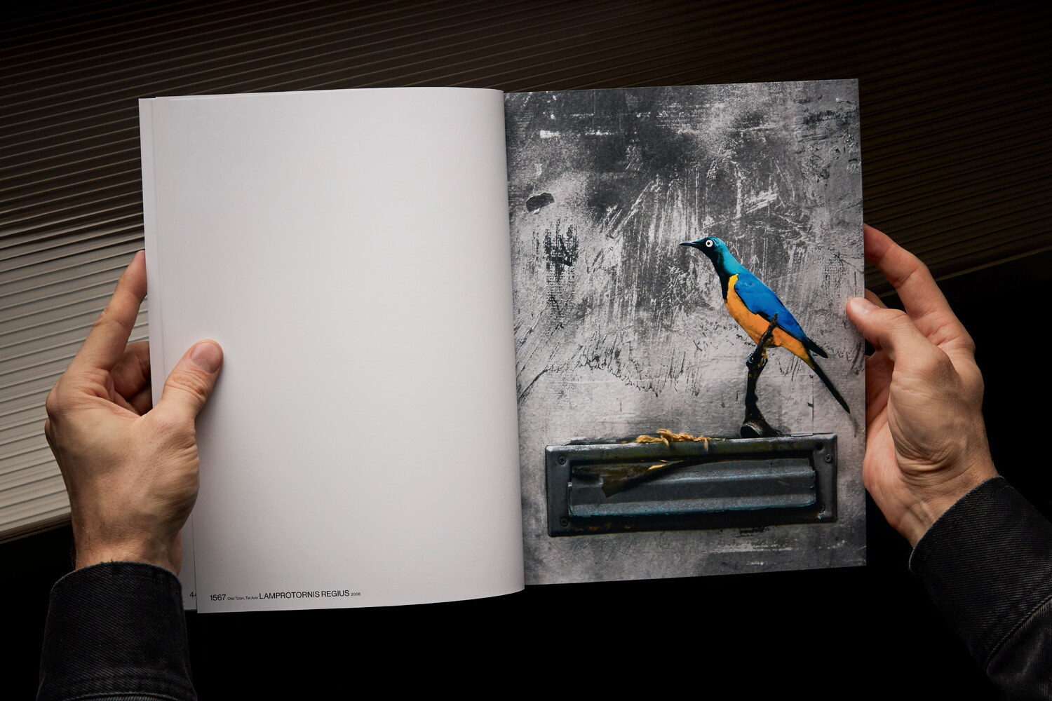 Lundgren+Lindqvist - The Bird Project 2006-2017 by Erik Berglin
