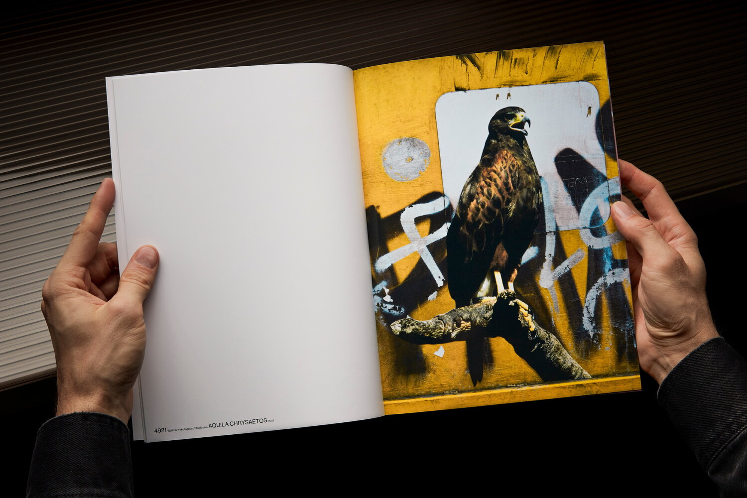 Lundgren+Lindqvist - The Bird Project 2006-2017 by Erik Berglin