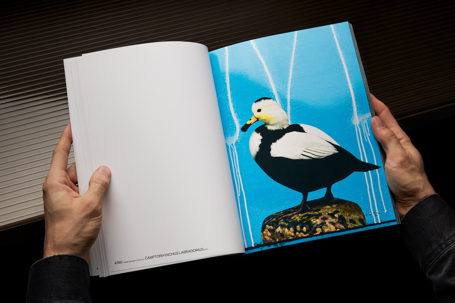 Lundgren+Lindqvist - The Bird Project 2006-2017 by Erik Berglin