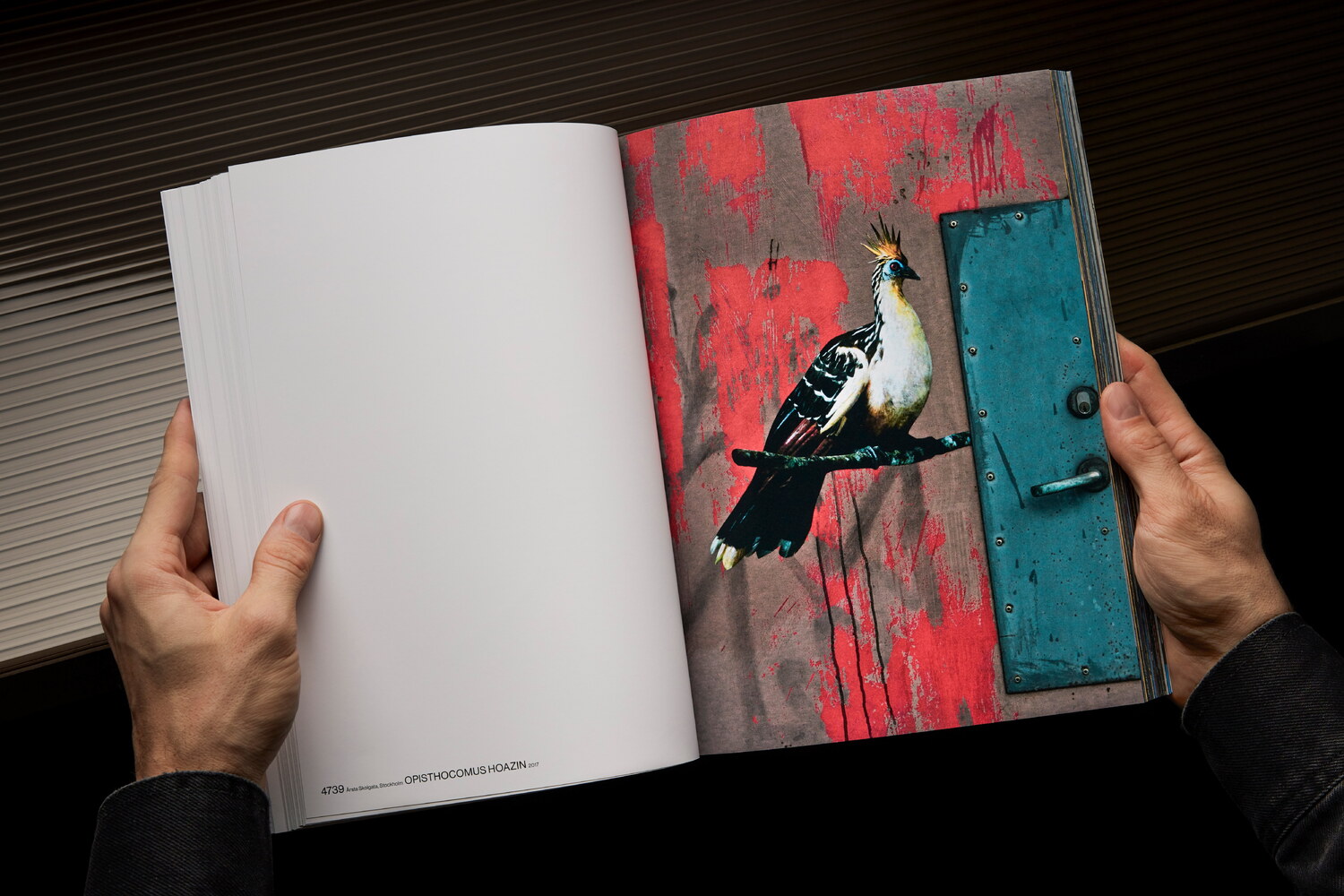 Lundgren+Lindqvist - The Bird Project 2006-2017 by Erik Berglin