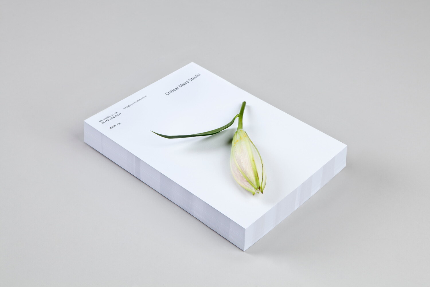 Lundgren+Lindqvist - Critical Mass Studio