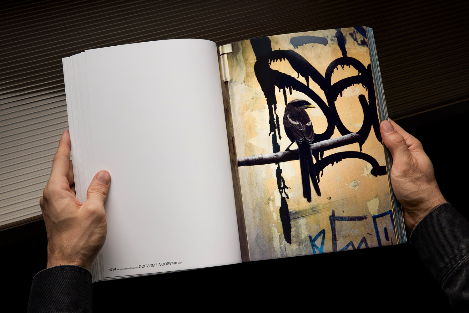 Lundgren+Lindqvist - The Bird Project 2006-2017 by Erik Berglin