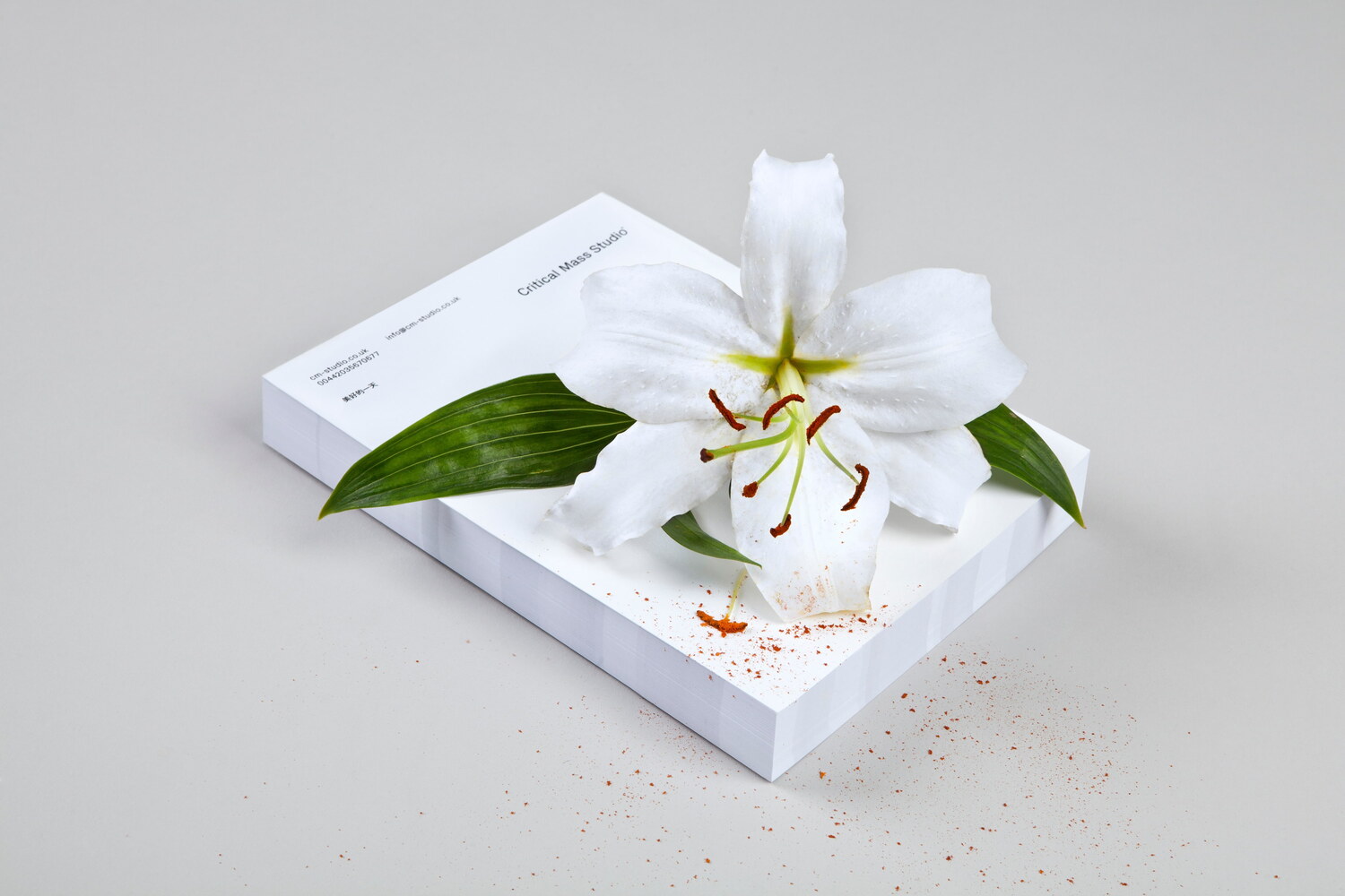 Lundgren+Lindqvist - Critical Mass Studio