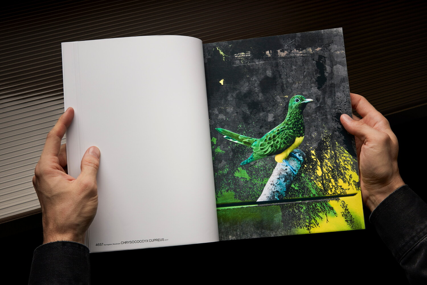 Lundgren+Lindqvist - The Bird Project 2006-2017 by Erik Berglin
