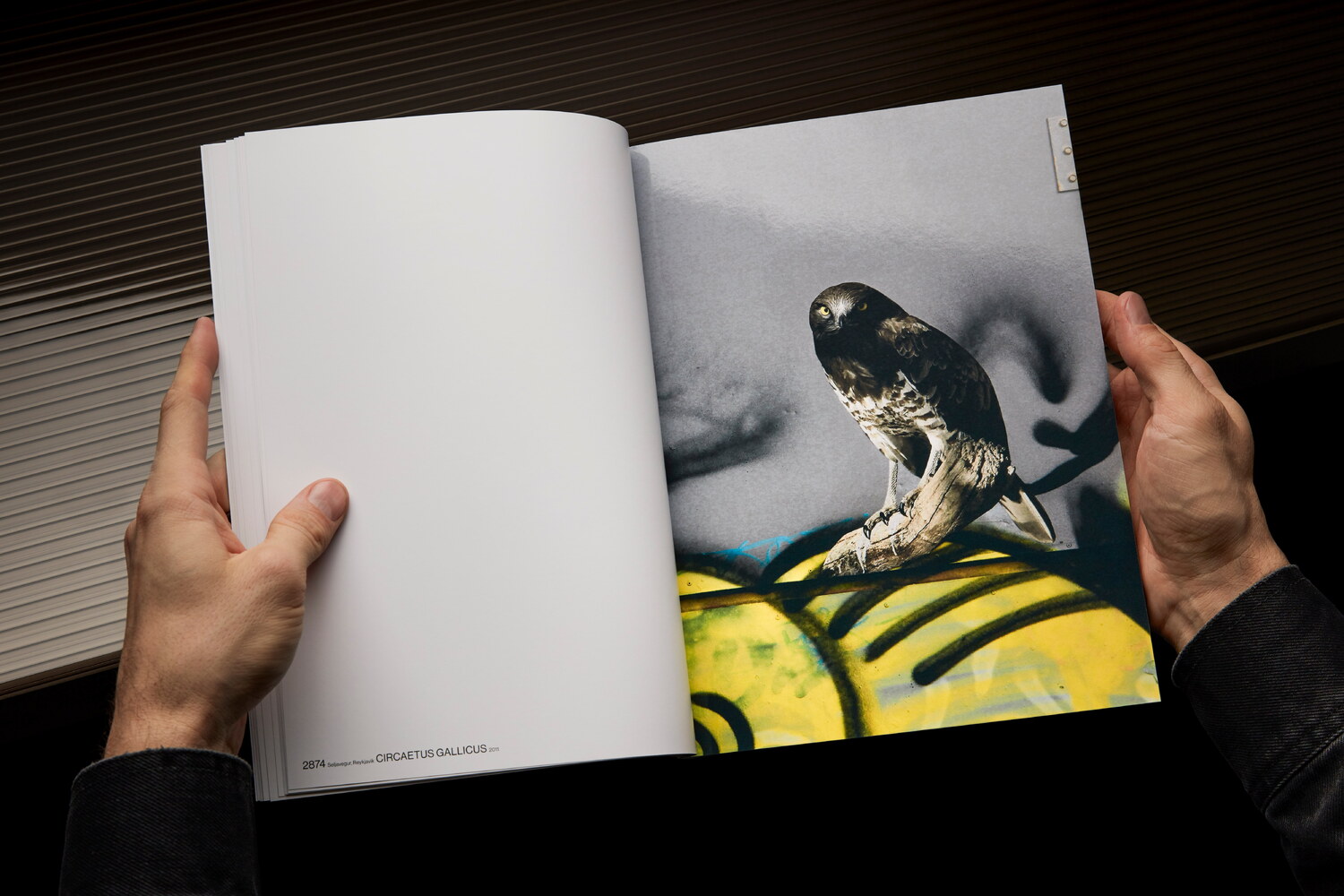 Lundgren+Lindqvist - The Bird Project 2006-2017 by Erik Berglin