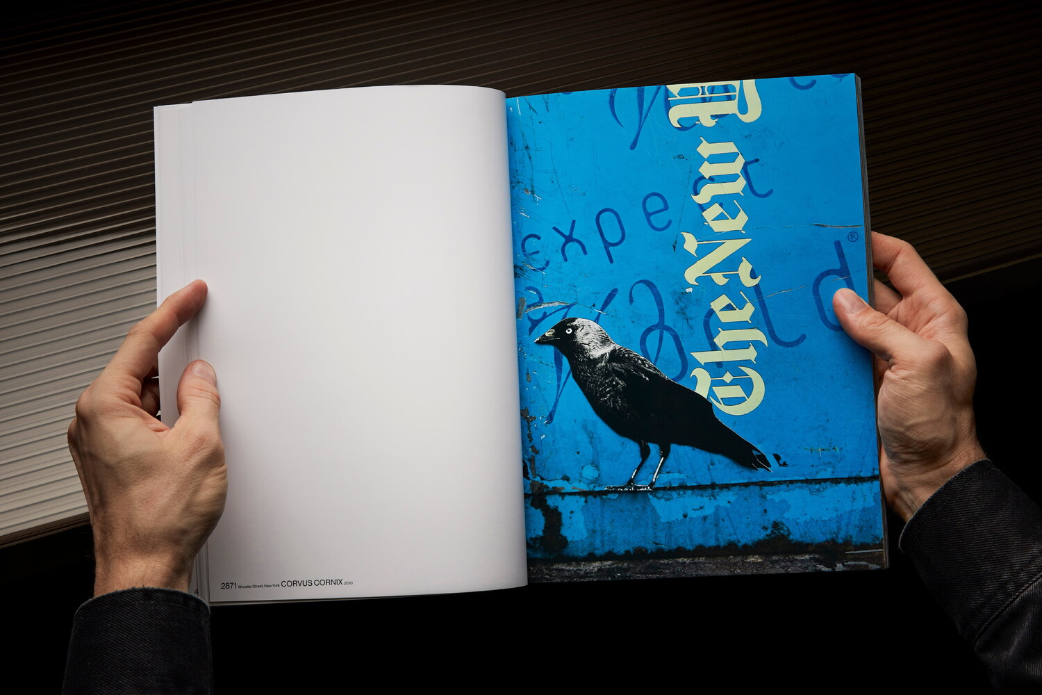 Lundgren+Lindqvist - The Bird Project 2006-2017 by Erik Berglin