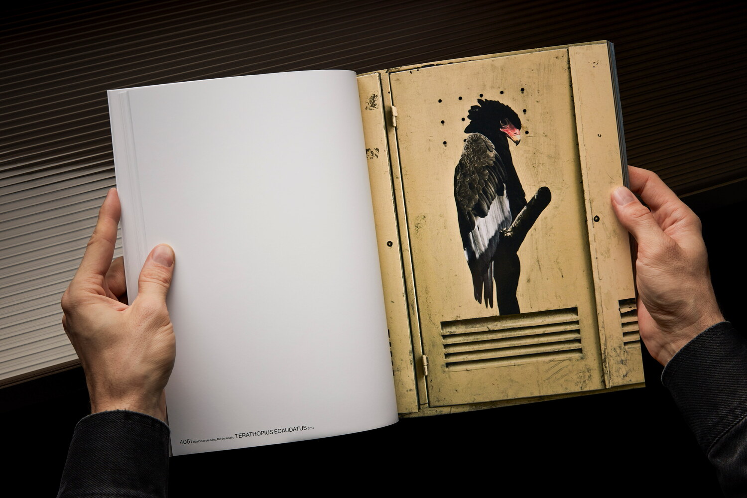 Lundgren+Lindqvist - The Bird Project 2006-2017 by Erik Berglin