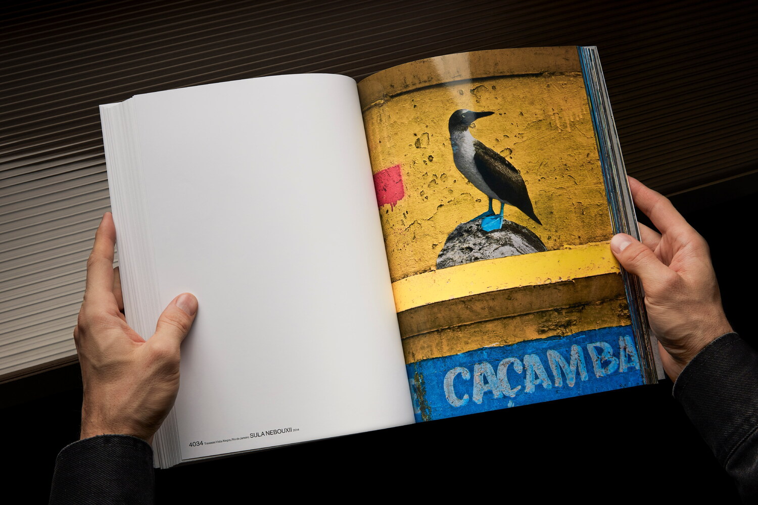 Lundgren+Lindqvist - The Bird Project 2006-2017 by Erik Berglin