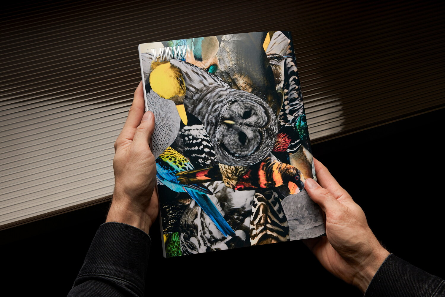 Lundgren+Lindqvist - The Bird Project 2006-2017 by Erik Berglin