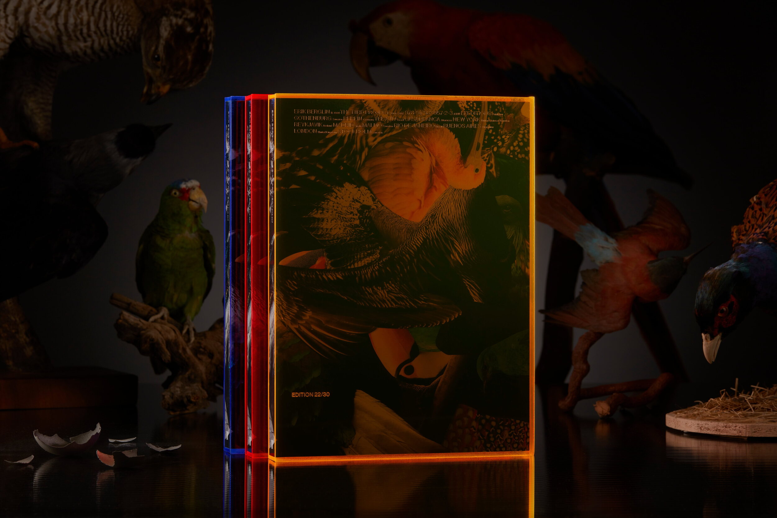 Lundgren+Lindqvist - The Bird Project 2006-2017 by Erik Berglin