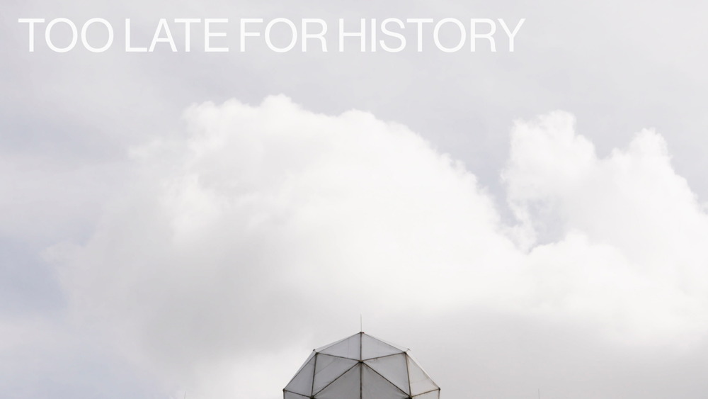 Lundgren+Lindqvist - Too Late for History to End