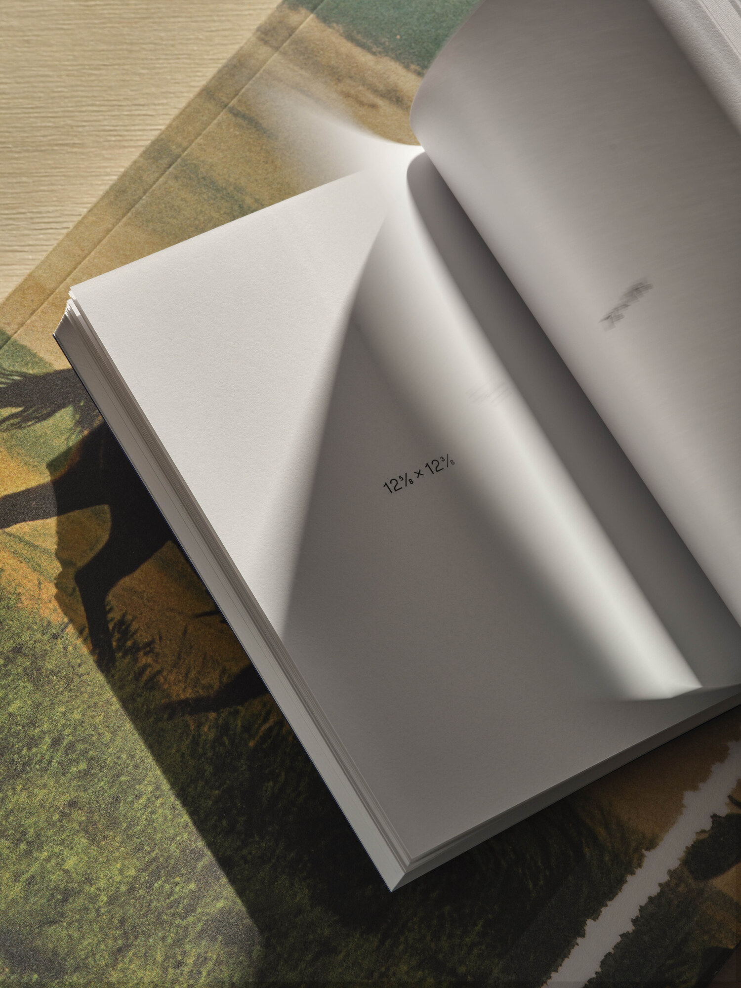 Lundgren+Lindqvist - The Size of My Richard Prince Book Collection by Jonathan Monk