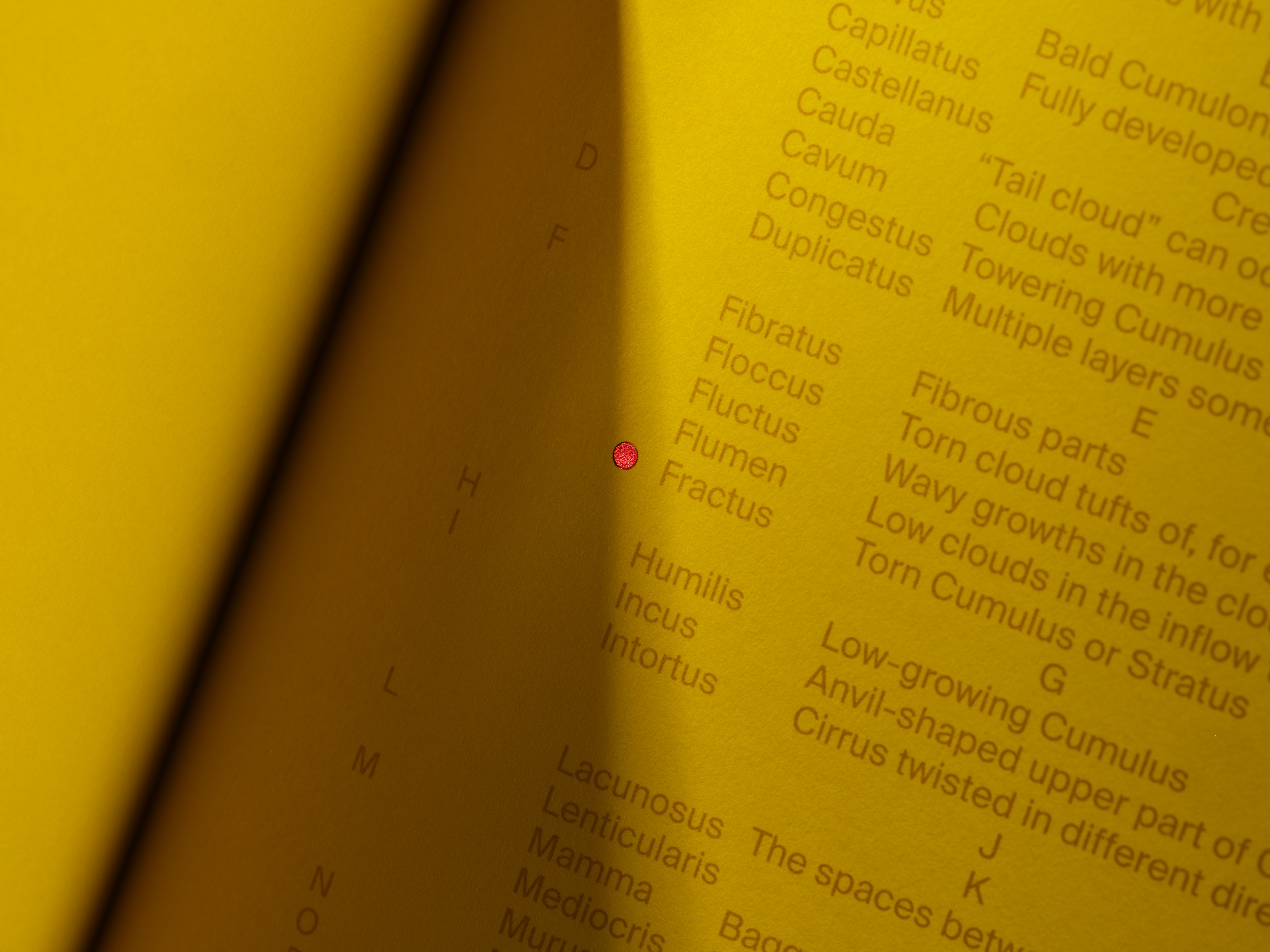 Lundgren+Lindqvist - By Wind Notebook